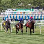 ABR Sunday Selections: Full-Card Picks for Sept. 21 at Belmont at the Big A